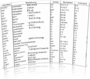 Tempel der Gesundheit - Blutbildanalyse 2